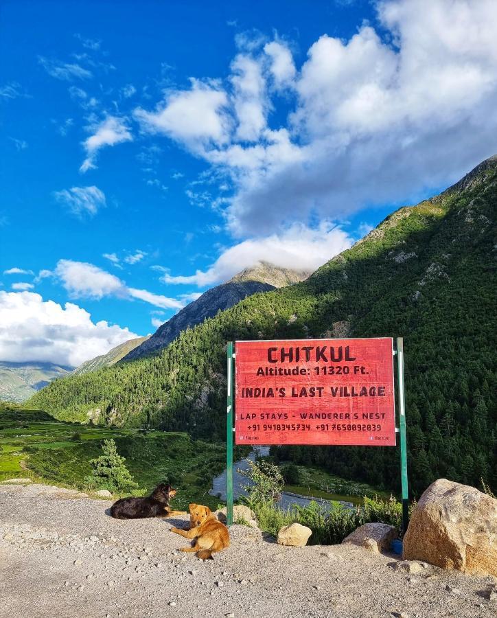 Lap Stays - Wanderer'S Nest Chitkul Bagian luar foto