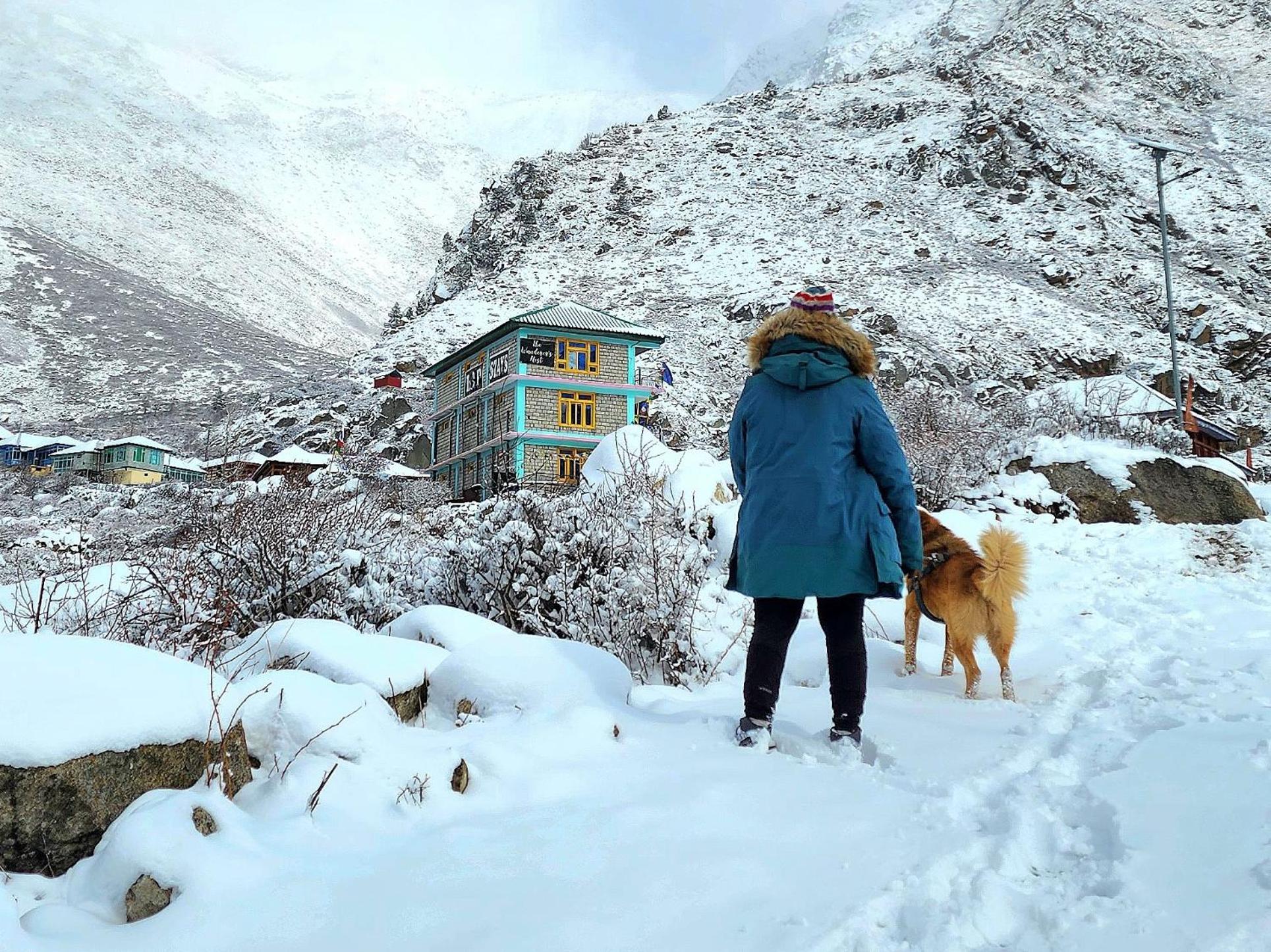 Lap Stays - Wanderer'S Nest Chitkul Bagian luar foto